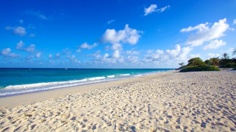 6 Beaches In Barbados That Will Make You Go Wow! - Sandgate House 